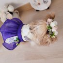 손바느질 생활한복 이미지