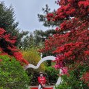 제주안덕농협주유소 이미지