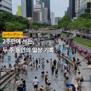 2주만에 쓰는, 두 주 동안의 일상 기록
