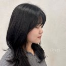 규리헤어라인 이미지
