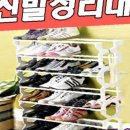 애머랜스 이미지