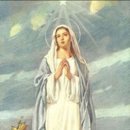 성모의지 이미지