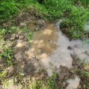 창포농장 이미지