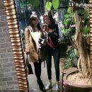 [강남 플라워카페/예쁜카페]아그레아블(Agreable)