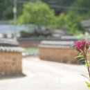 우리외가집 이미지