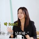드립 뉴스엔