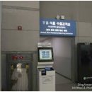 치료멍멍동물병원 이미지