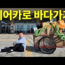 충주맨 리어카 역주행 의혹제기 이미지