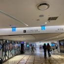 스시이찌바 | 잠실 회전초밥 맛집! 롯데백화점 도쿄이찌바 재방문 후기 (메뉴·가격·위치)