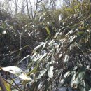 평전농장 이미지