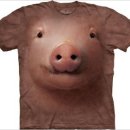 더마운틴 이미지