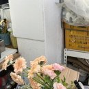 주연플라워 - 부천시 소사구 양지남로 33-1 | 제주 연동 꽃집 ‘주연플라워’ 꽃다발 후기