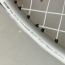 여성 입문용 테니스라켓 [테크니화이버 템포 105 tempo] 선물로받은라켓리뷰!