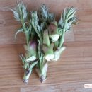 쇠목계곡가든위 이미지