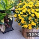 호크마어린이집 이미지