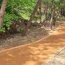 구갈레스피아 이미지