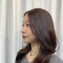 헤어포레&붙임머리