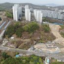 삼가-25 이미지
