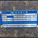 하단동197 이미지