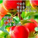 C. 생상스_ 교향곡 제3번 C 단조 'Organ' 中 2악장 후반부 이미지