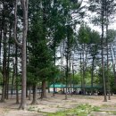 금원수목원수영장 이미지