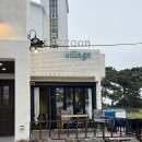 제주마실 게스트하우스 | 제주공항게스트하우스추천 | 김군빌리지 게스트하우스 | 제주여자혼자여행 저녁오마카세파티