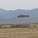 논산미영 태양광발전소 | 논산 덕암리 태양광분양 발전소 견학후기