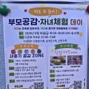 자녀와의 의사소통법(유초등) | 거제도 다문화 가정 부모교육, 사춘기 자녀와 소통하는 방법!