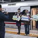 G1305 이미지