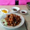 목화반점 이미지