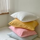 왕성세탁 이미지