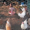 성석농장 이미지