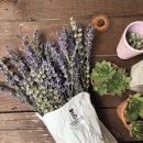 향기심리코칭 이미지