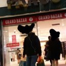 애니메이트