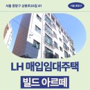 상봉로 134 (1) | 빌드 아르떼 LH 신혼·신생아매입임대 거주 후기, 망우역 생활권 분석 | 서울 중랑구 상봉로20길 81