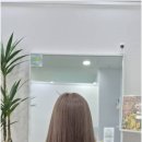 이어진;아름다움을잇다