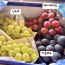 재우농장 이미지