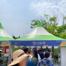 무주그린모텔 | [전북/무주] 낭만의 도시 무주 첫 방문/ 2025년 무주산골영화제(Muju Film Festival) 1일 차 후기🌿🎬
