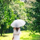 그늘막112 이미지