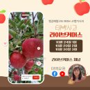 천상애