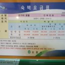 본가야 호텔 이미지