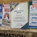 세종조은내과의원 네이버블로그
