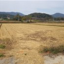 광산구-116 이미지