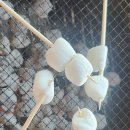 안느루 | [숙소/군산] 힐링하고 싶다면 바로 여기, 안느루