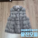 윤진세탁 | [모피] 30대 여자 모피 추천 | 윤진모피 백화점 구매 후기 및 착샷