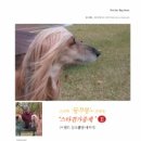 스타독(Star Dog) 이미지