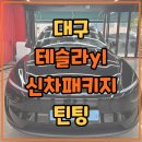대구 테슬라yl 신차패키지 구성중 틴팅이 고민되네