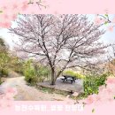 벚꽃카페