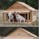 duplex house for pets.jpg 이미지