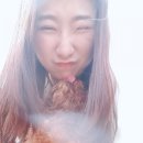 야옹아 멍멍해봐 오산점 네이버블로그